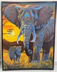 African wildlife and landscapes